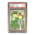 PSA 8 2023 Obsidian Flames Pidgeotto