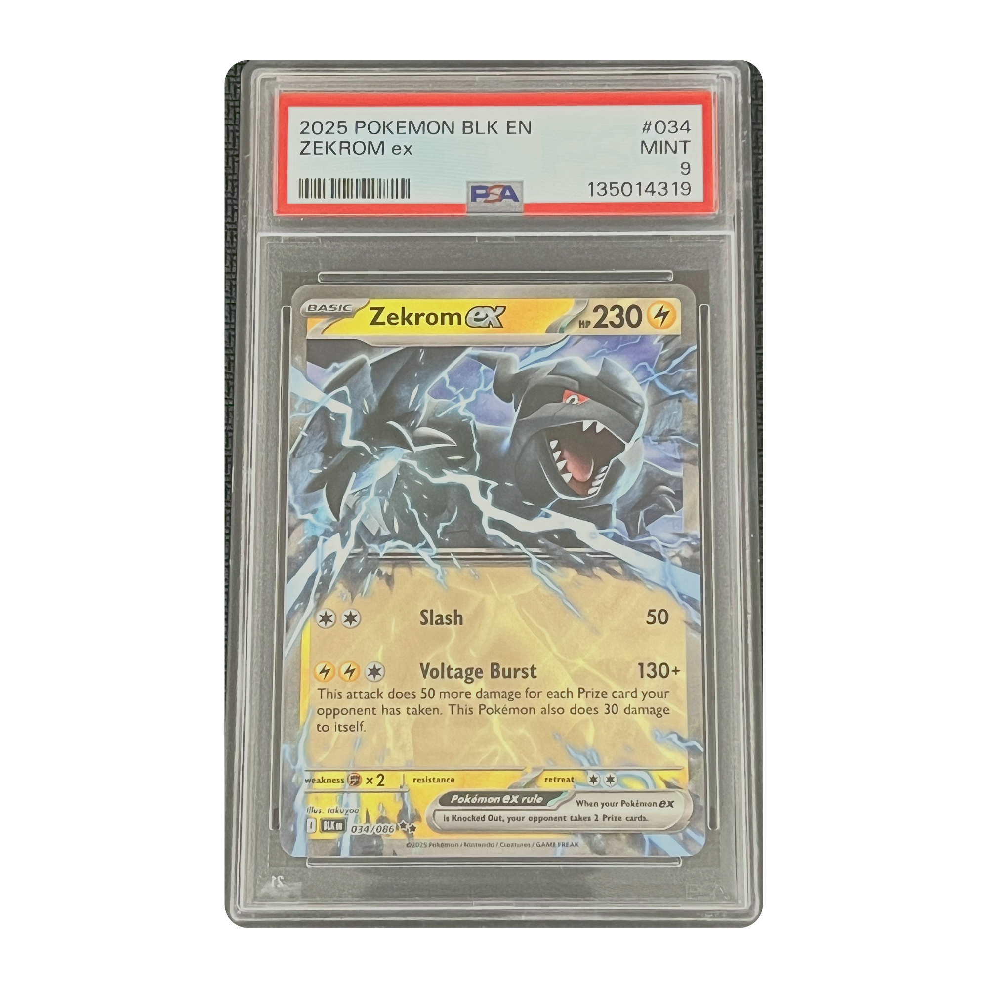 PSA 9 2025 Black Bolt Zekrom ex